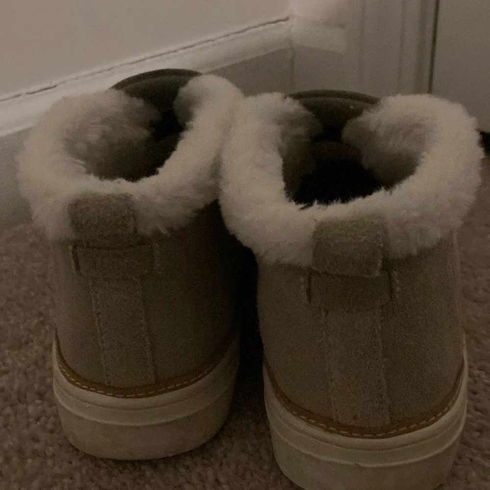 TOMS Women's, Paxton Sneaker - Picture 2 of 8